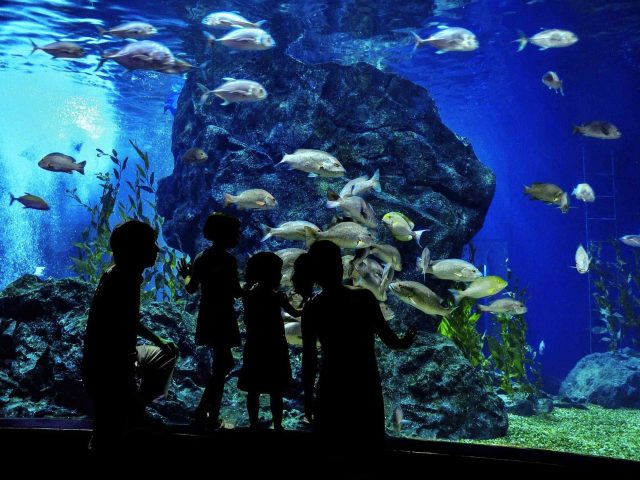 https://socialvacations.com/wp-content/uploads/2018/08/post_capetown_01-640x480.jpg