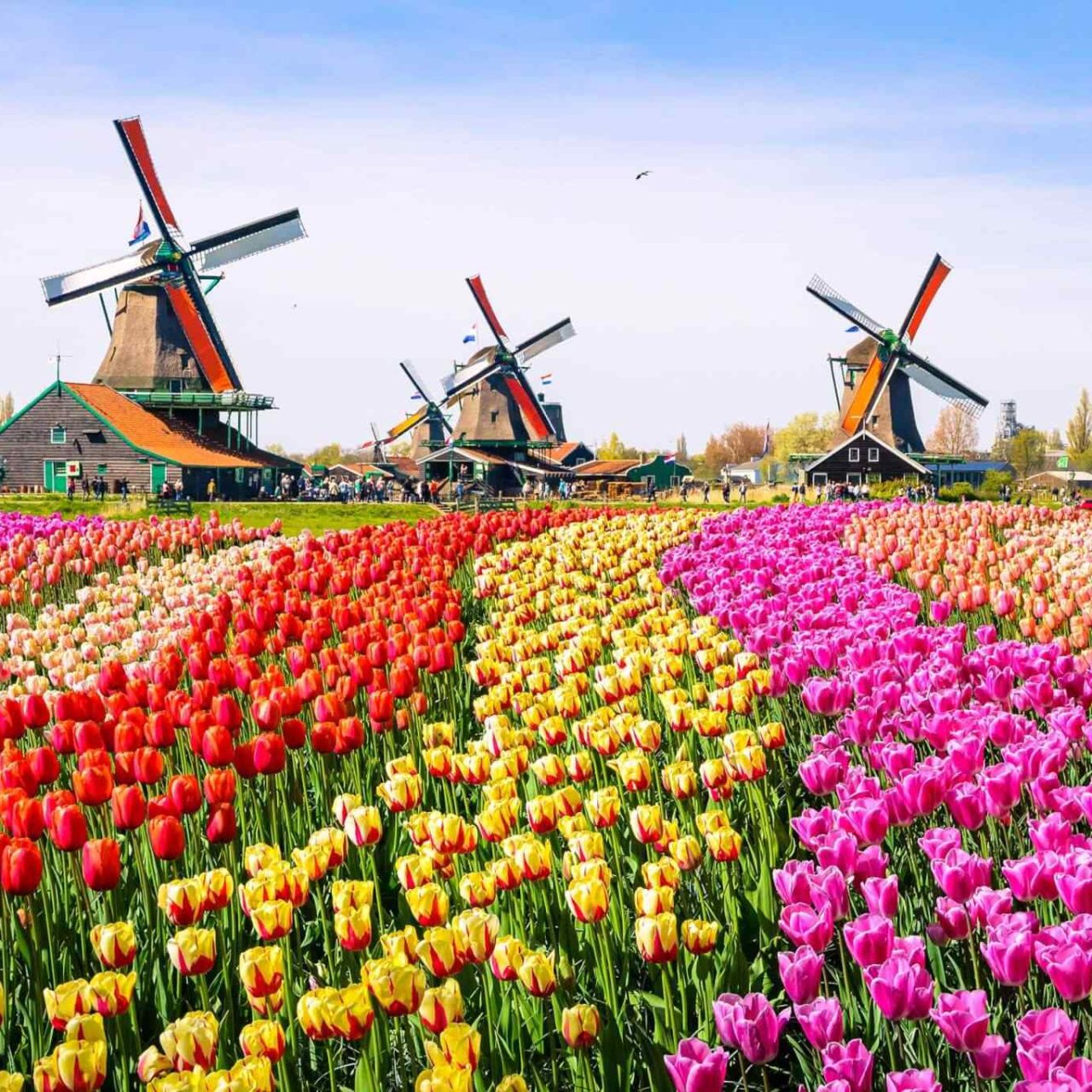 https://socialvacations.com/wp-content/uploads/2018/09/destination-netherlands-01-1280x1280.jpg