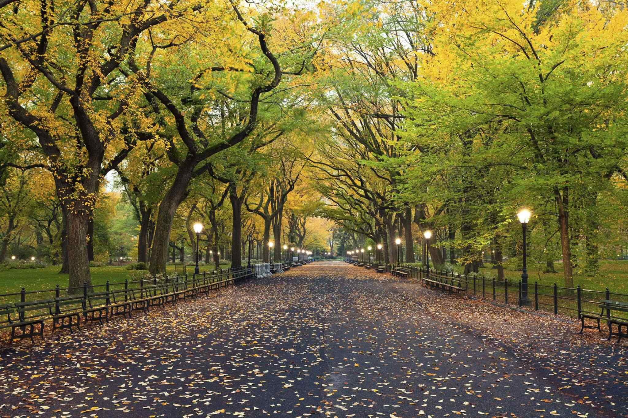 destination-new-york-02 https://socialvacations.com/wp-content/uploads/2018/09/destination-new-york-02.jpg