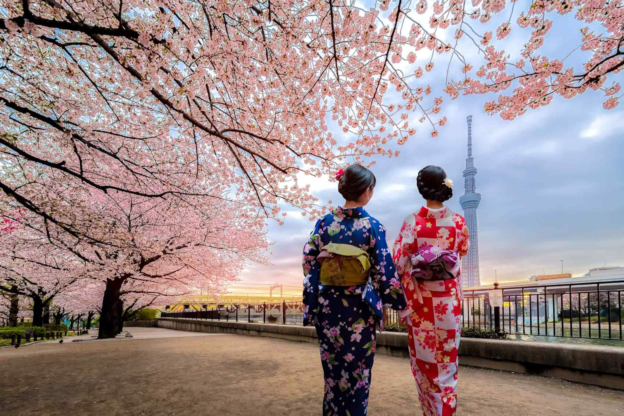 destination-tokyo-03 https://socialvacations.com/wp-content/uploads/2018/09/destination-tokyo-03.jpg