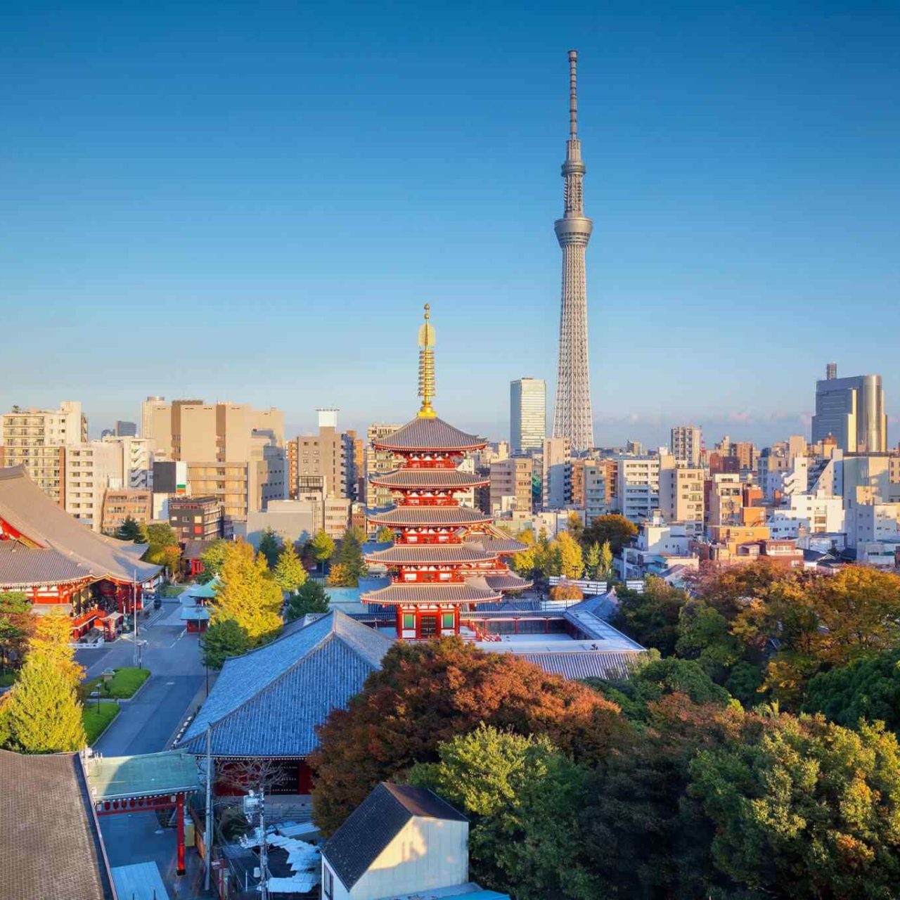 https://socialvacations.com/wp-content/uploads/2018/09/destination-tokyo-04-1280x1280.jpg