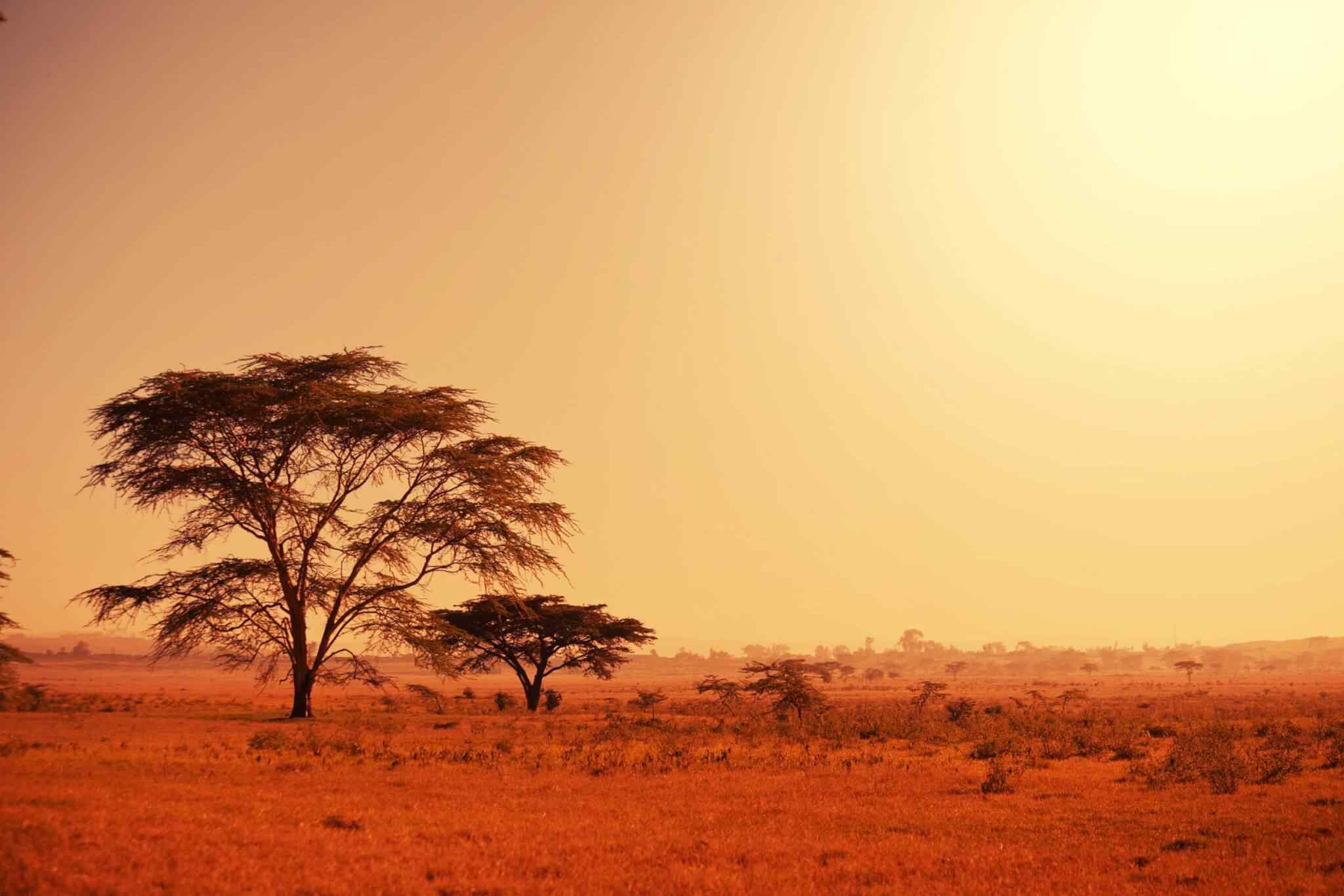 https://socialvacations.com/wp-content/uploads/2018/09/tour-africa-02.jpg