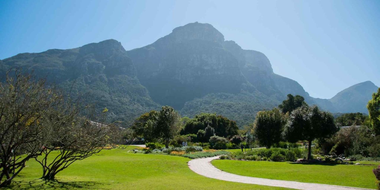 https://socialvacations.com/wp-content/uploads/2018/09/tour-capetown-03-1280x640.jpg