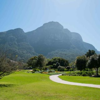 https://socialvacations.com/wp-content/uploads/2018/09/tour-capetown-03-320x320.jpg