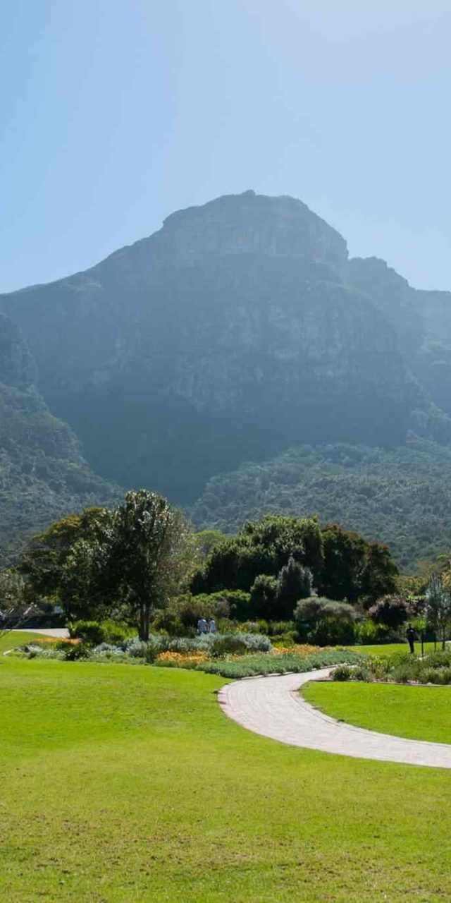 https://socialvacations.com/wp-content/uploads/2018/09/tour-capetown-03-640x1280.jpg