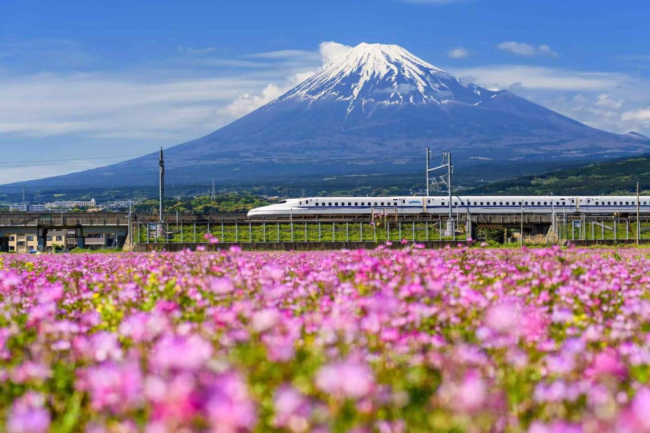 tour-osaka-04 https://socialvacations.com/wp-content/uploads/2018/09/tour-osaka-04-1280x854.jpg