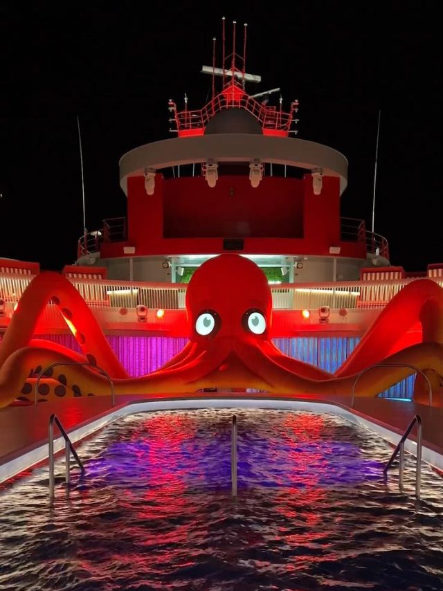 octopus (1) https://socialvacations.com/wp-content/uploads/2026/08/octopus-1-640x854.jpg