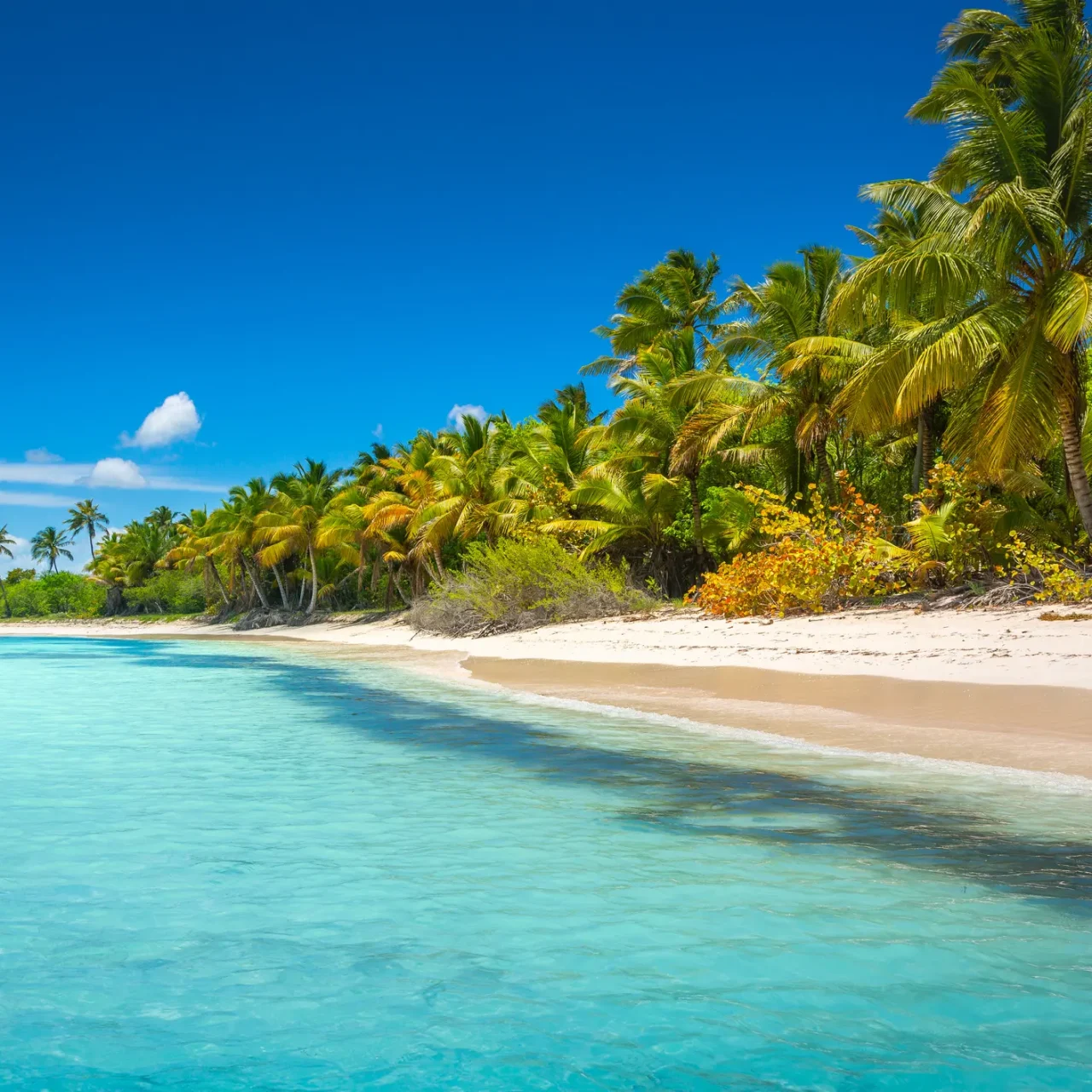 Dominican Days - March 15-20, 2027