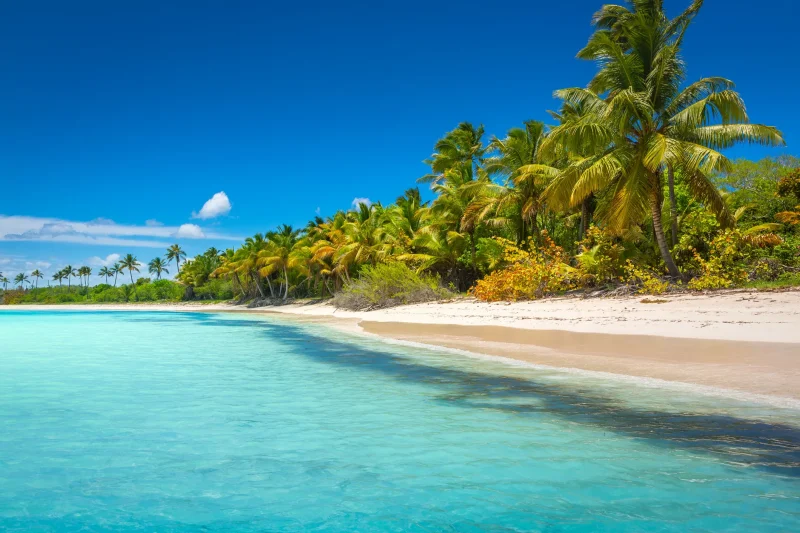 Dominican Days - March 15-20, 2027