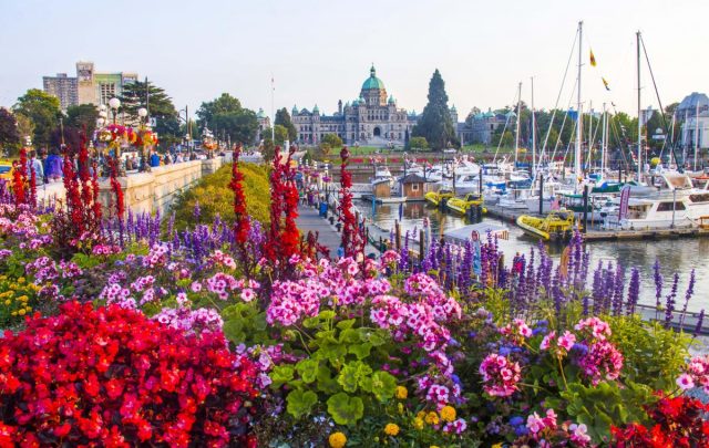 https://socialvacations.com/wp-content/uploads/2026/09/doug_clement_img_7606_0-640x405.jpg