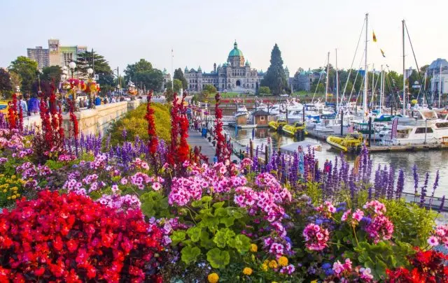https://socialvacations.com/wp-content/uploads/2026/09/doug_clement_img_7606_0-640x405.jpg